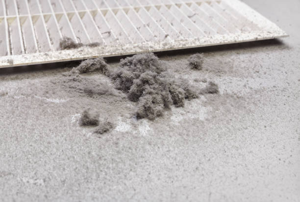 Best Emergency Air Duct Cleaning  in Southern Shops, SC